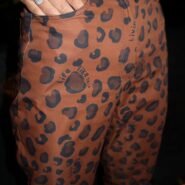Pant WallBeach Def Leppard Foto Cercana