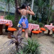 00c77101-7e49-40b1-bc60-a1f394f7684f