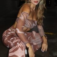 10947d95-8e5e-4412-86b6-f26f35ddfae8